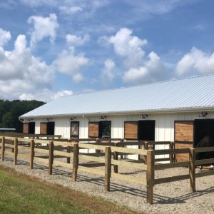 Run In Stalls, natural horse care, wholesome equine nutrition, four oaks equestrian