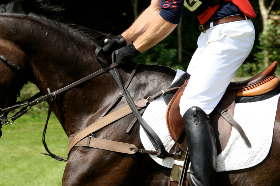 How Much Water Do Horses Drink? Wholesome Equine Nutrition